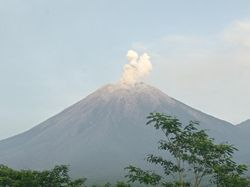 Gunung Semeru Erupsi 2 Kali Pagi Ini, Tinggi Letusan Capai 800 Meter