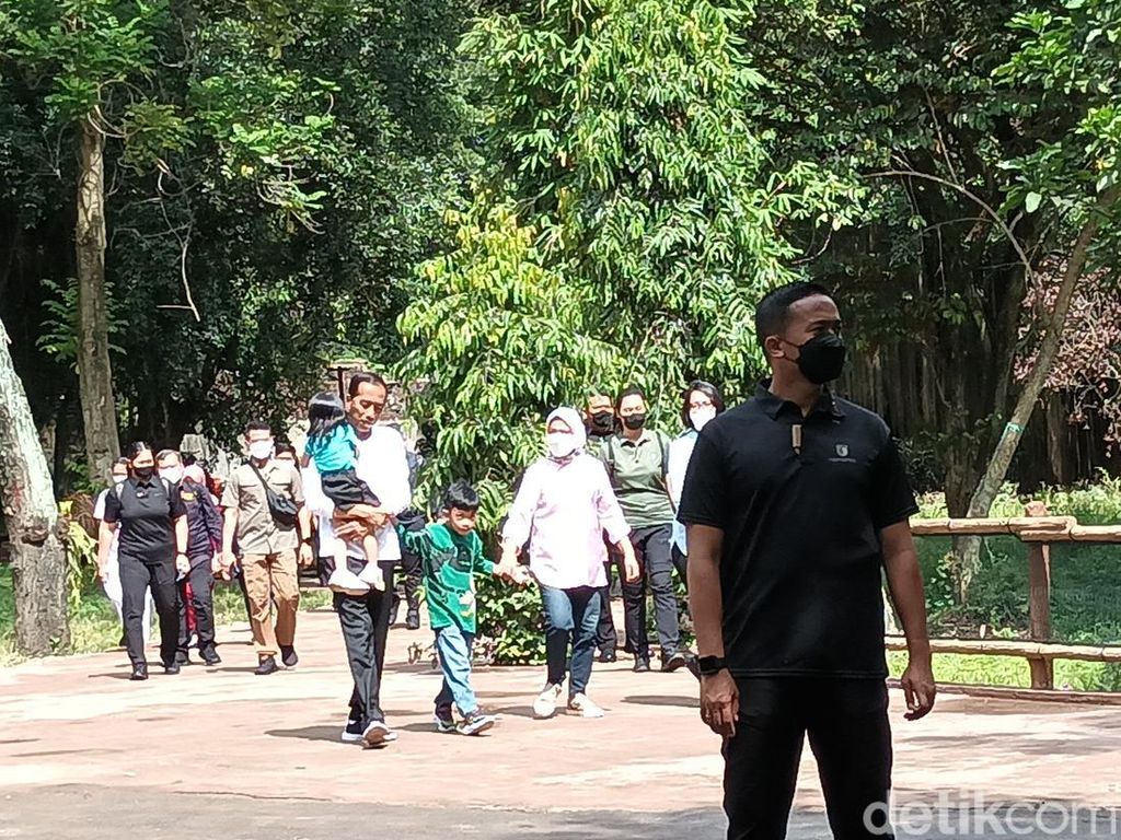 Cuti Bersama Imlek 2023, Jokowi Gendong Cucu di Solo Safari