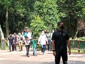 Jokowi Ajak Jan Ethes dan La Lembah ke Solo Safari Saat Cuti Bersama Imlek Jokowi Ajak Jan Ethes dan La Lembah ke Solo Safari Saat Cuti Bersama Imlek