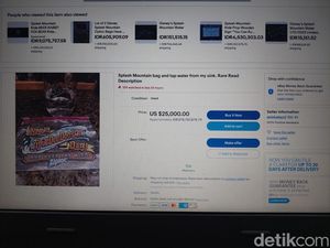 Sebotol Air dari Wahana Disney Dilelang, Ada yang Berani Nawar Ratusan Juta