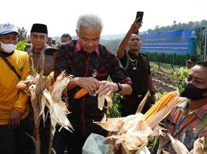 Ganjar Dorong Pengoptimalan Lahan Tidur untuk Dukung Ketahanan Pangan