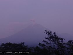 Penampakan Gunung Semeru Erupsi Setinggi 500 Meter