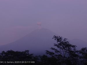 Penampakan Gunung Semeru Erupsi Setinggi 500 Meter Penampakan Gunung Semeru Erupsi Setinggi 500 Meter