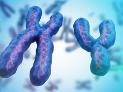 Ilmuwan Temukan Kromosom Y Perlahan Menghilang, Apakah Laki-laki Bakal Punah?