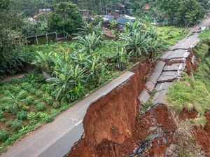 Jalur Alternatif Semarang-Demak yang Terputus Kini Makin Parah Jalur Alternatif Semarang-Demak yang Terputus Kini Makin Parah