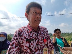 Ratusan Ternak di Semarang Terjangkit LSD, Pemkab Tunggu Vaksin dari Pemprov