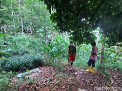 Makam Siti TKW Korban Serial Killer Wowon Cs Dibongkar