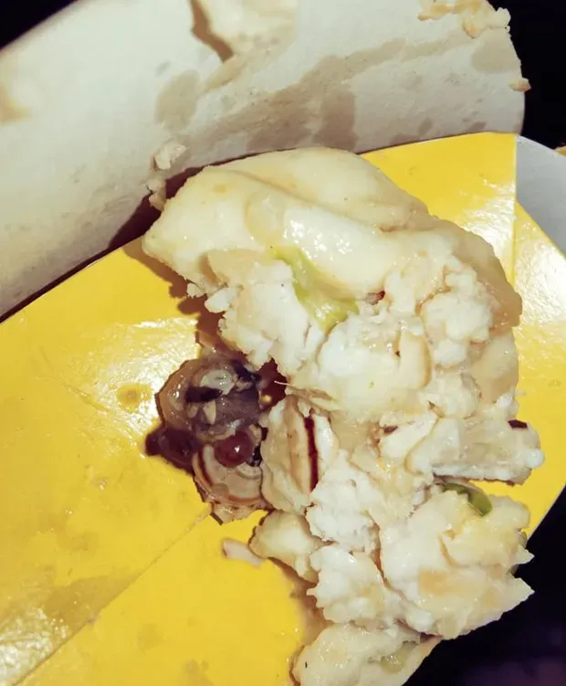 Chicken Wrap McDonald's ada siputnya.