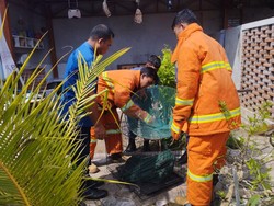 Anjing Liar Ngamuk di PAUD, Serang Balita-Guru hingga Luka Berat