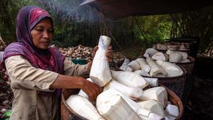 Ini Toh Ternyata Bahan Baku Lumpia Semarang