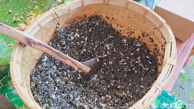 Tiwul di Wonogiri ada yang berwarna hitam dan cokelat. Perbedaan warna itu disebabkan adanya perbedaan teknis merendam gaplek. Tiwul cokelat hanya direndam sebentar. Foto diunggah Selasa (24/1/2023).