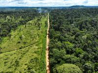 Berita Dan Informasi Fakta Hutan Amazon Terkini Dan Terbaru Hari Ini ...