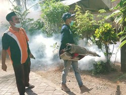 Wabah Chikungunya Landa Empat Desa, Dinkes Tulungagung Lakukan Fogging