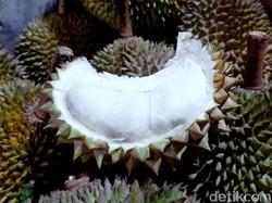 Ternyata Ini Batas Aman Makan Durian yang Sehat
