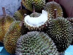 Awas Kejebak! Ini Cara Memilih Durian Loji Khas Karawang yang Nikmat Awas Kejebak! Ini Cara Memilih Durian Loji Khas Karawang yang Nikmat