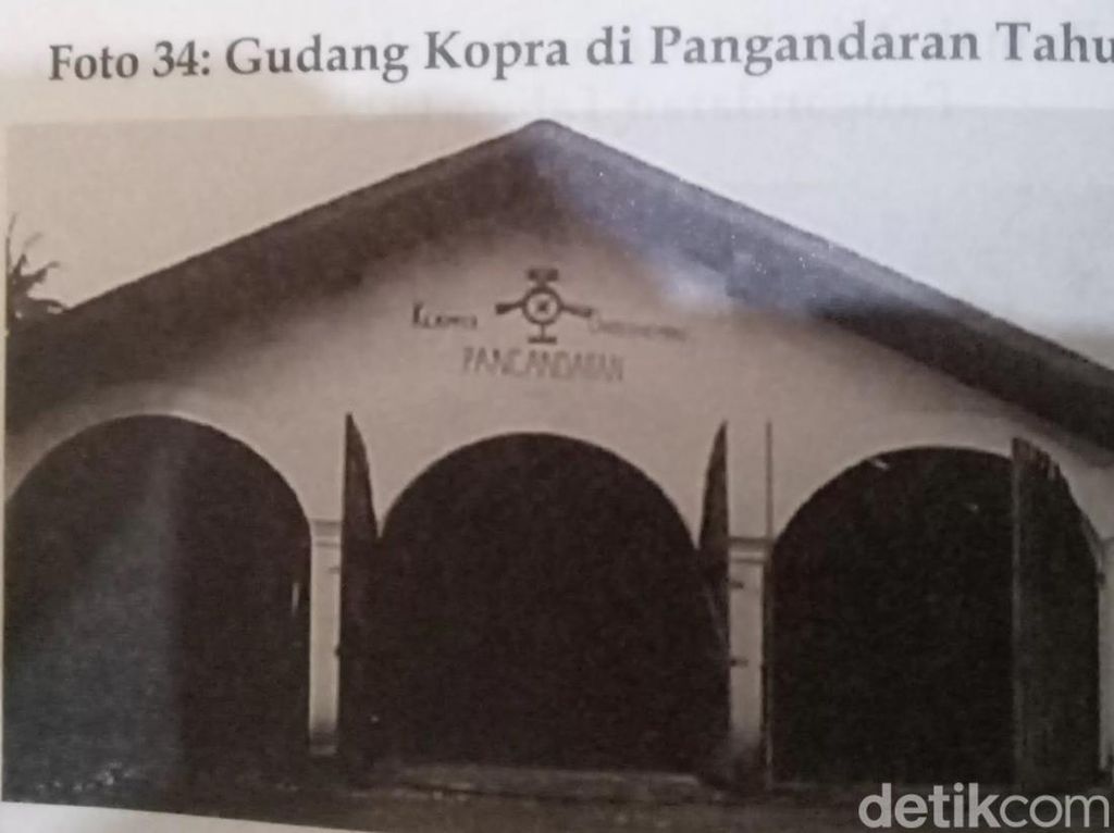 Cikal Bakal Jalur KA Banjar-Pangandaran Bermula dari Kelapa Cikal Bakal Jalur KA Banjar-Pangandaran Bermula dari Kelapa