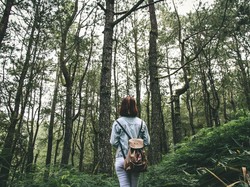 Survei: Pekerjaan Hijau Menarik bagi Mahasiswa, tapi...