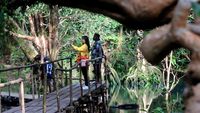 Menjelajahi Hutan Negeri Dongeng di Papua