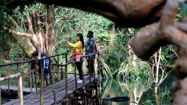 Menjelajahi Hutan Negeri Dongeng di Papua