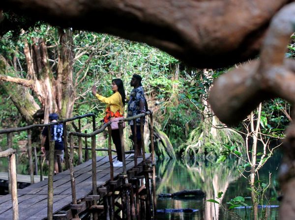 Menjelajahi Hutan Negeri Dongeng di Papua