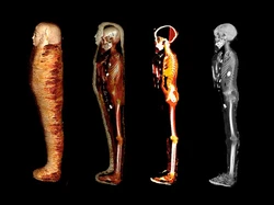 49 Jimat di Tubuh Mumi Sultan