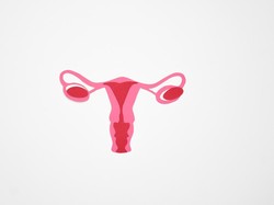 Ovarium Adalah Tempat Terjadinya Produksi Sel Telur, Ini Fungsinya