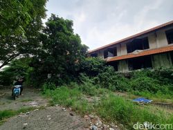 Destinasi Wisata Legendaris di Surabaya Bak Sarang Ular yang Mau Hidup Lagi
