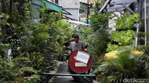 Asrinya Kampung Sehat di Gang Sempit Jakarta