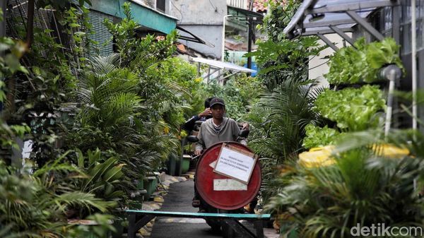Asrinya Kampung Sehat di Gang Sempit Jakarta