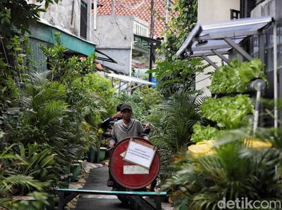 Asrinya Kampung Sehat di Gang Sempit Jakarta