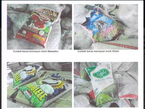 Beras Rusak 920 Ton Milik PD Pasar Jaya Dilelang Rp 4,6 M Beras Rusak 920 Ton Milik PD Pasar Jaya Dilelang Rp 4,6 M