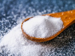 5 Hewan yang Takut dengan Garam, Apakah Ular Termasuk?