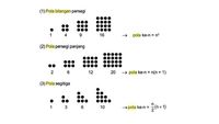 8 Jenis Pola Bilangan Matematika Dan Rumusnya