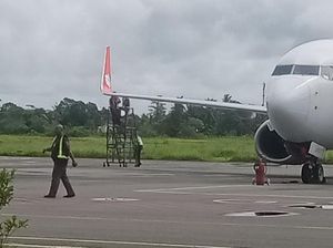 Turun Tangan KNKT Usut Insiden Lion Air Tabrak Garbarata di Bandara Merauke Turun Tangan KNKT Usut Insiden Lion Air Tabrak Garbarata di Bandara Merauke