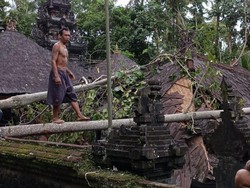 Angin Kencang Landa Karangasem, Pura Tertimpa Pohon Tumbang
