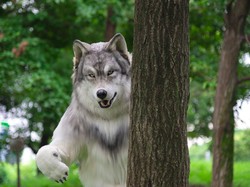 Kisah Insinyur Jepang Wujudkan Mimpi Jadi Serigala