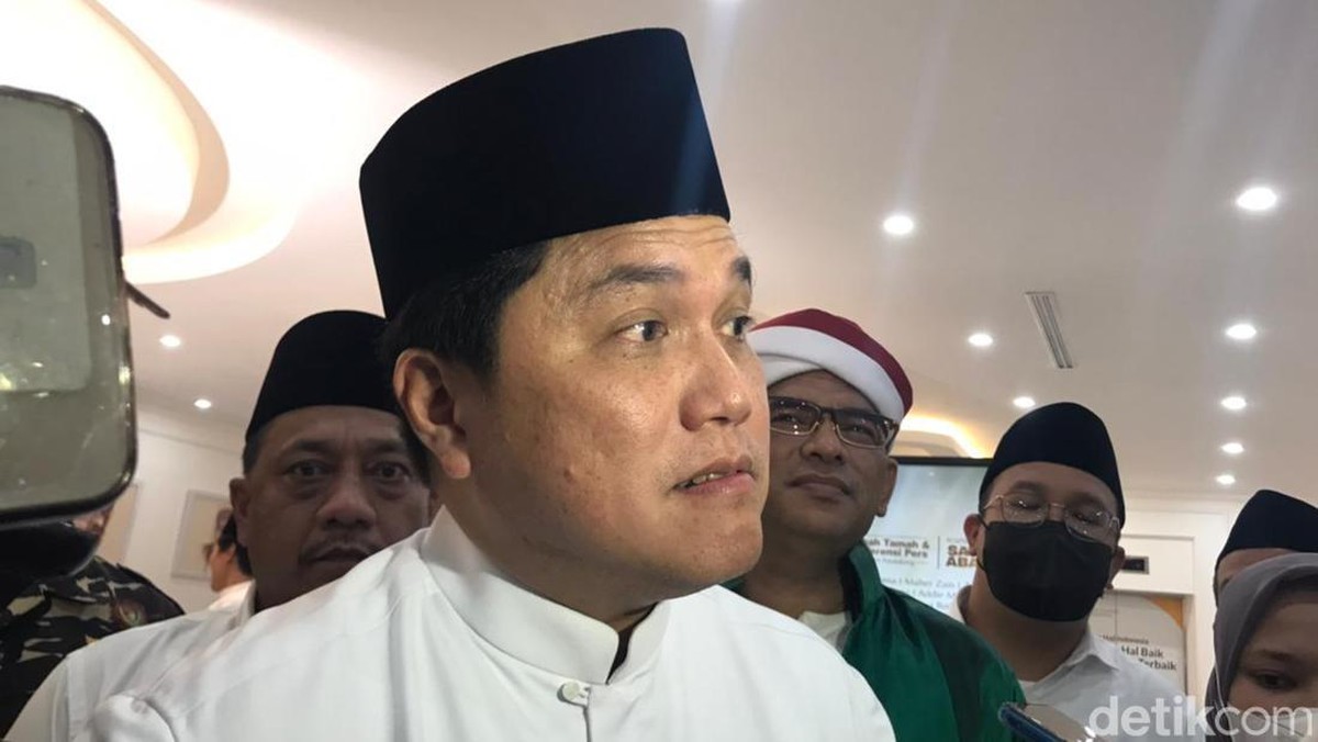 Erick Thohir tak cuma pernah urus Persib, Persija juga (Erick Thohir (Firda Cynthia Anggrainy/detikcom)