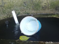 Ragam Asumsi Warga soal Pemanfaatan Seke Hutan Kota Baksil Bandung