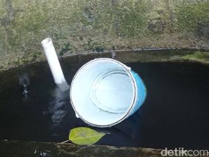 Ragam Asumsi Warga soal Pemanfaatan Seke Hutan Kota Baksil Bandung Ragam Asumsi Warga soal Pemanfaatan Seke Hutan Kota Baksil Bandung