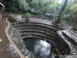Bandung yang Basah dan Jernihnya Mata Air Hutan Kota Baksil