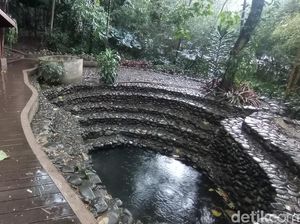 Bandung yang Basah dan Jernihnya Mata Air Hutan Kota Baksil Bandung yang Basah dan Jernihnya Mata Air Hutan Kota Baksil