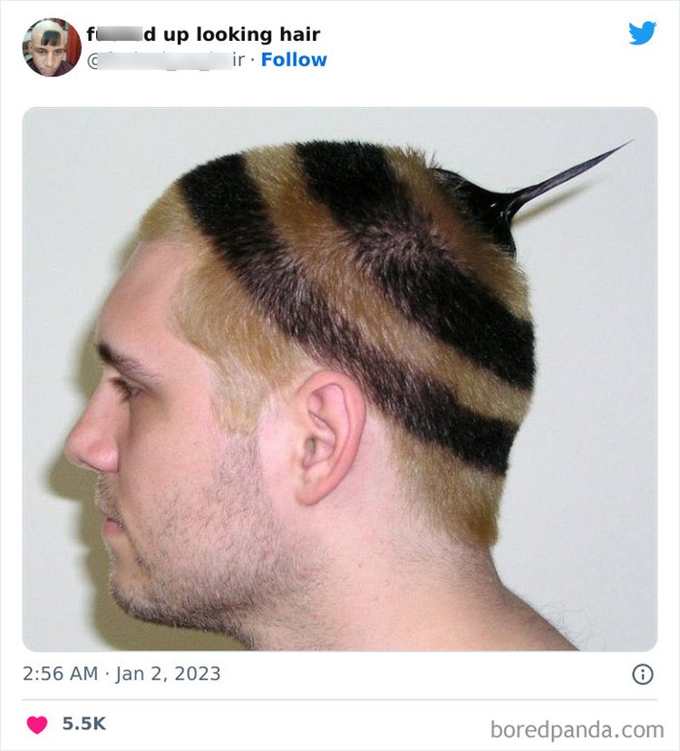 Model rambut unik dan tidak biasa di internet.