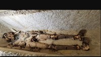Mumi Tertua Berusia 4.300 Tahun Ditemukan, Ini Wujudnya