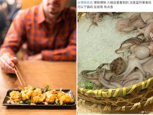 Pria Ini Nyaris Menyantap Gurita Cincin Biru yang Sangat Beracun Pria Ini Nyaris Menyantap Gurita Cincin Biru yang Sangat Beracun