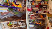 Merinding! Ini Penampakan Kulkas Penuh Makanan yang Tak Pernah Dibersihkan 3 Tahun