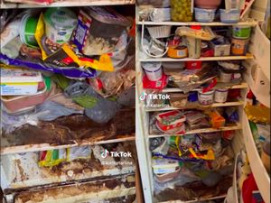 Merinding! Ini Penampakan Kulkas Penuh Makanan yang Tak Pernah Dibersihkan 3 Tahun Merinding! Ini Penampakan Kulkas Penuh Makanan yang Tak Pernah Dibersihkan 3 Tahun