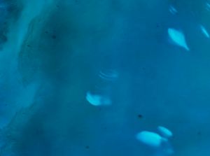 Awan Putih Misterius Terus Bermunculan di Wilayah Ini