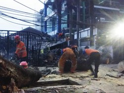 Pohon Pinus Setinggi 20 Meter Tumbang hingga Timpa Rumah Warga di Bogor