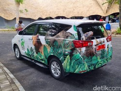 Wajah Baru Mobil Dinas Gibran, Kini Bergambar Satwa Solo Safari