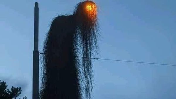 Foto Ini Bahaya Dilihat Sekilas, Bikin Salah Persepsi